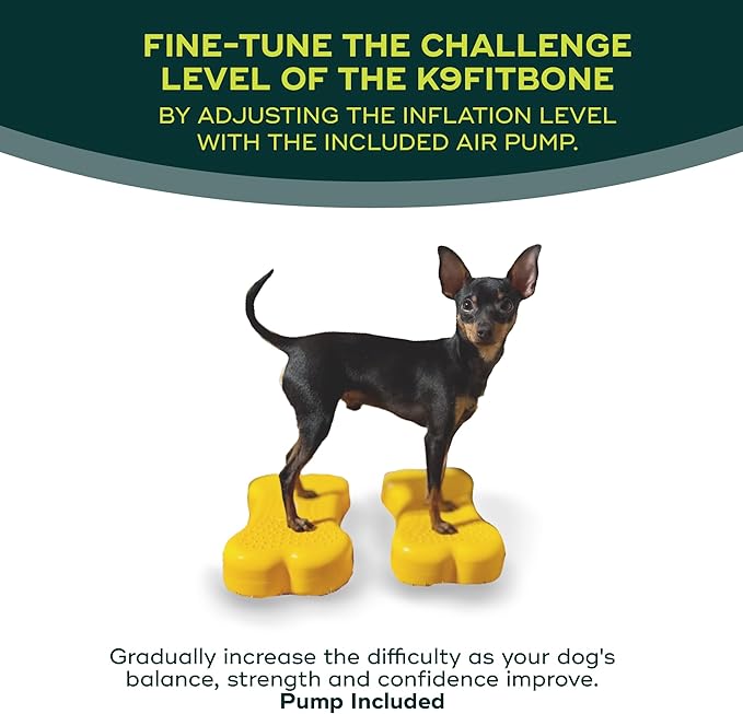 Mini K9fitbone Balance Training Platform (Set of 2)