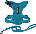 Voyager Escape-Proof Step-in Lock Cat Harness & 5ft Neoprene-Handle Leash Set All-Weather Mesh with Reflective Stitching for Small to Large Cats by Best Pet Supplies, Turquoise, S