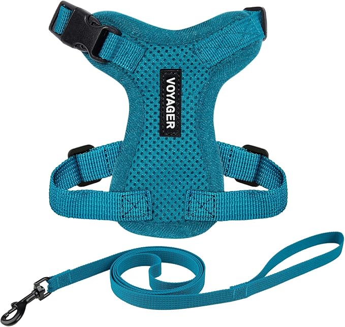 Voyager Escape-Proof Step-in Lock Cat Harness & 5ft Neoprene-Handle Leash Set All-Weather Mesh with Reflective Stitching for Small to Large Cats by Best Pet Supplies, Turquoise, S