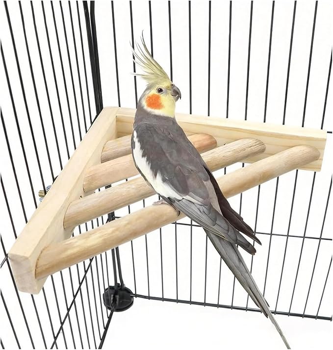 Litewoo Bird Perch Corner Platform Stand Shelf for Birds Budgie Parakeet Cockatiel Conure Cockatoo（Ladder）