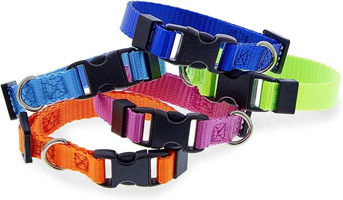 Okuna Outpost Puppy Collars - Quick-Release Buckle - Color-Coded Adjustable Puppy ID Collar - 6.5-10 in, Multicolor, Pack of 16