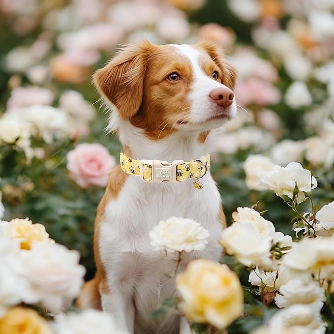 Bee & Daisy Dog Collar for Giant Large Dogs - Spring/Summer Cartoon Yellow Dog Collars, Lightweight Adjustable Male Female Dogs Collars with Quick Release Buckle XL