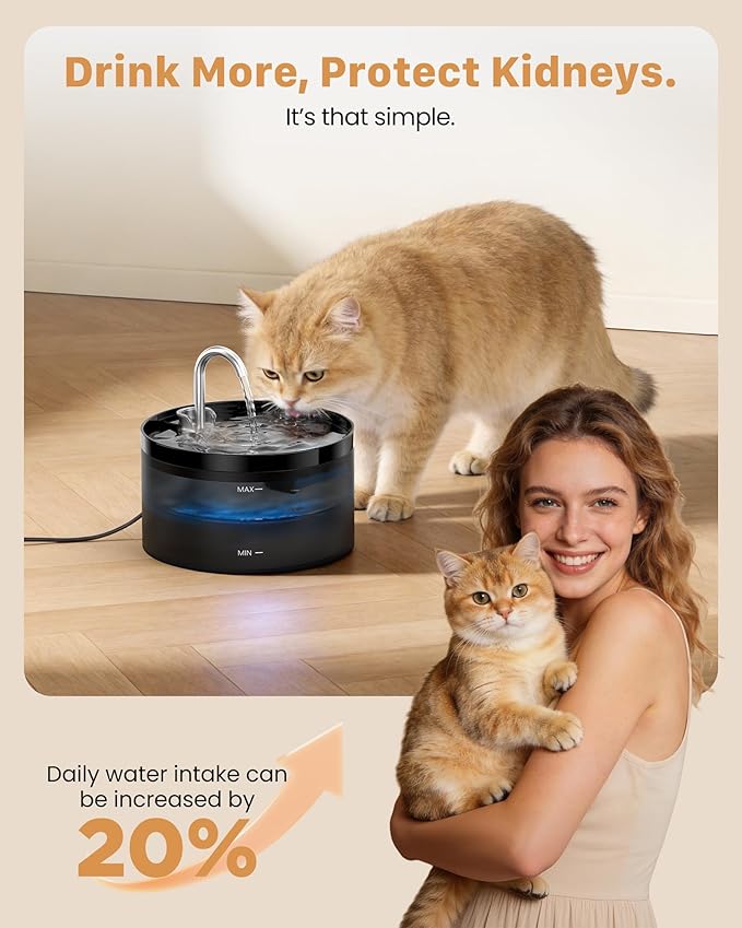 Cat Water Fountain Pet Fountain: 67oz/2L Cat Water Dispenser - Black Pet Dispenser - Faucet Dog Bowl - with 6 Filters + 3 Sponges - GIOTOHUN