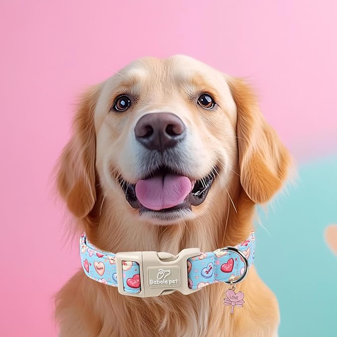 Valentines Dog Collar for Small Dogs - Valentine Candy Hearts Dog Collars, Love Boy Girl Dogs Collars, Lightweight Adjustable Cute Blue Puppy Collar with Quick-Release Buckle XS