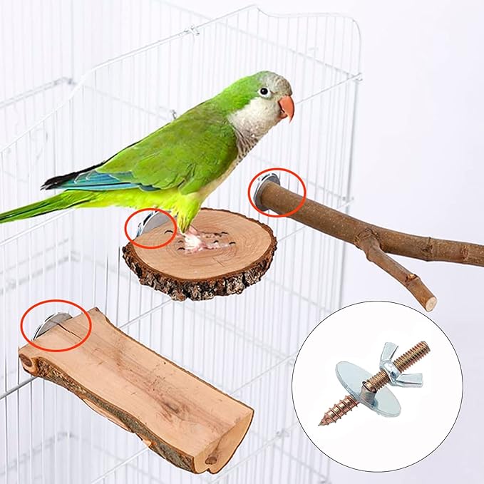 Bird Cage Hardware - 10 Sets of Screws, Washers, Wing Nuts & Drill Tool for Fixing Perch, Food Bowls & Breeding Box