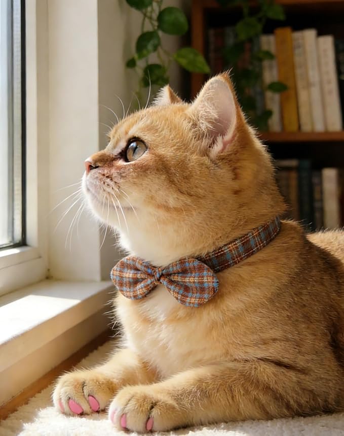Cotton Bowtie Cat Collar with Bell 2 Pack Plaid Breakaway Kitten Collars with Removeable Bunny Ear Bow(Amber+Beige)