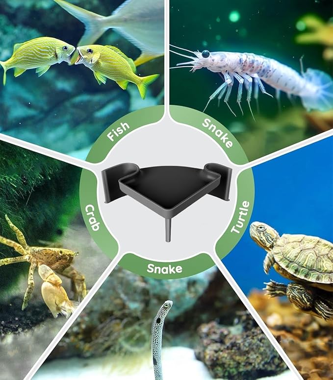 Underground Aquarium Cave with Viewing Window – 2-Hole Corner Fish Tank Hideout for Plecos, Cory Catfish, Kuhli Loach, Shrimp & Betta – Safe Decor for Bottom Dwellers – Sinkable & Non-Toxic