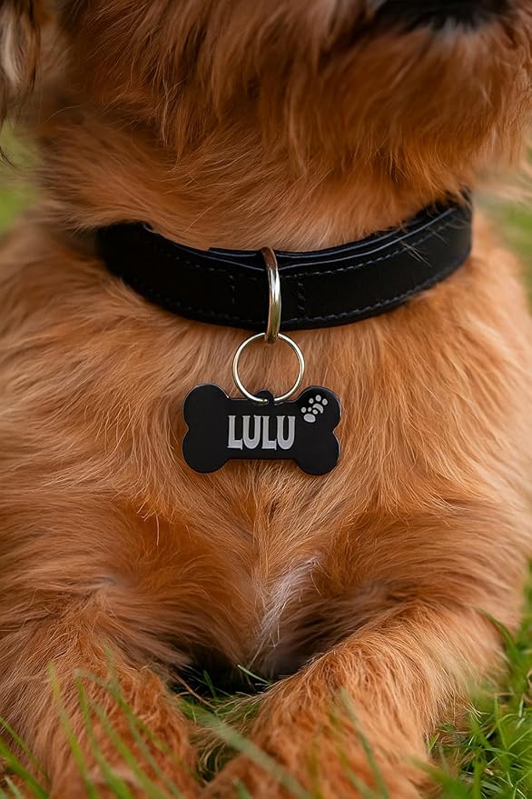 Stainless Steel Personalized Pet ID Tags, Art Design for Dog Tags, Cat Tags, Customized and Engraved on Both Sides of ID Tag, in Black, Silver, Blue, Gold, Rose Gold and Rainbow Color