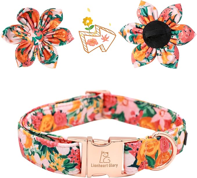 Lionheart Glory Cute Floral Pattern Pet Collar - Adjustable for X-Large Dogs