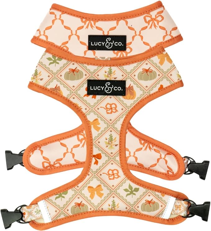 Lucy & Co. Cute Reversible Dog Harness Walking Halter - Best Designer Pet Harnesses for XS - XL Dogs - Padded Adjustable Vest for Easy Walking-XLarge-Orange Cream Pumpkin