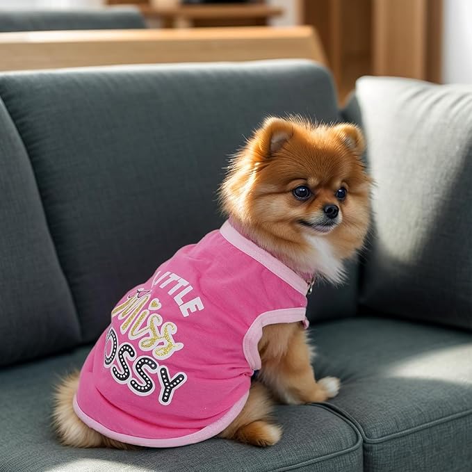 4 Pack Dog Shirts Summer Printed Puppy Clothes Cute Sleeveless Pet T Shirts Dog Clothes for Small Medium Dogs Cats Girl(XL)