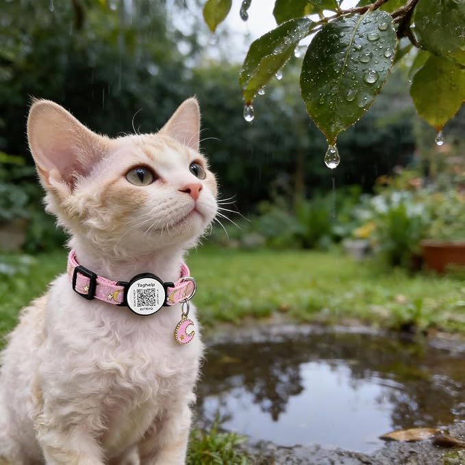 Smart Lost & Found System: Breakaway Cat Collar with Free Lifetime QR Code ID, Adjustable Reflective Kitten Collar (Stars & Moon) - No Monthly Fees, Pink Pet Safety (Pink)