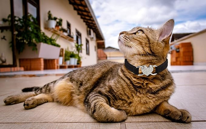 Heart Bling Cat Collar with Safety Belt and Bell Adjustable 8-10 inches for Kitten Cats (Black+Red)
