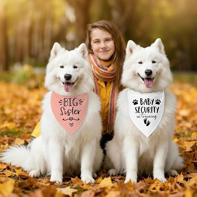 Big Sister&Baby Security in Training Dog Bandana, Dog Bandanas for Dogs Pet Accessories for Dogs Lovers Pregnancy Reveal Ideas, Soft Triangle Scarf for Small Medium Large Dogs (Big Sister Pink)