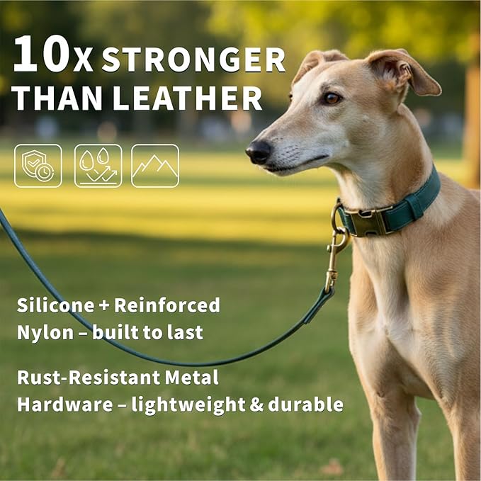 Dog Collar and Leash Set,Leather Silicone Waterproof Odor-Proof Dog Collar and Leash for Small Dogs, Soft Flexible Dog Collars, Durable Thick Adjustable Pet Collar (Green, Small (9-14" Neck))