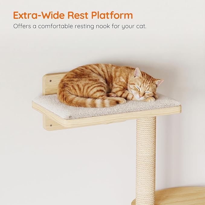 HOOBRO Wood Cat Wall Shelves for Large Cats, 11-Piece Cat Wall Furniture, Wall-Mounted Shelves with House, Hammock, Ladder, Scratching Posts and Step, Climbing Wall for Multiple Cats, Natural NL46CS03