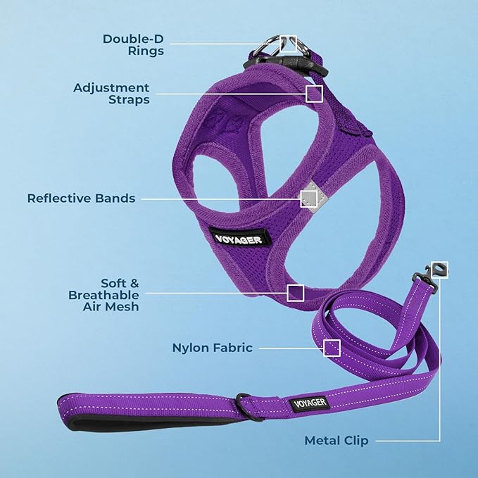 Best Pet Supplies Voyager Step-in Air All Weather Mesh Harness and Reflective Dog 5 ft Leash Combo with Neoprene Handle, for Small, Medium and Large Breed Puppies - Set (Purple), XXXS