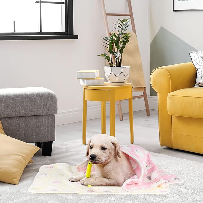 Dono 1 Pack 3 Dog Blankets, Soft Fluffy Fleece Pet Blanket Warm Sleep Mat Paw Print Design Puppy Kitten Throw Blankets Doggy Blanket for Dogs