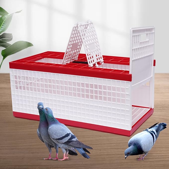 Folding Pigeon Cage with Handle, Portable Plastic Bird Travel Carrier Cage with 3 Doors & Ventilation Grids, Red & White Training Release Nest Box for Racing Pigeons (Holds Up to 14 Birds)