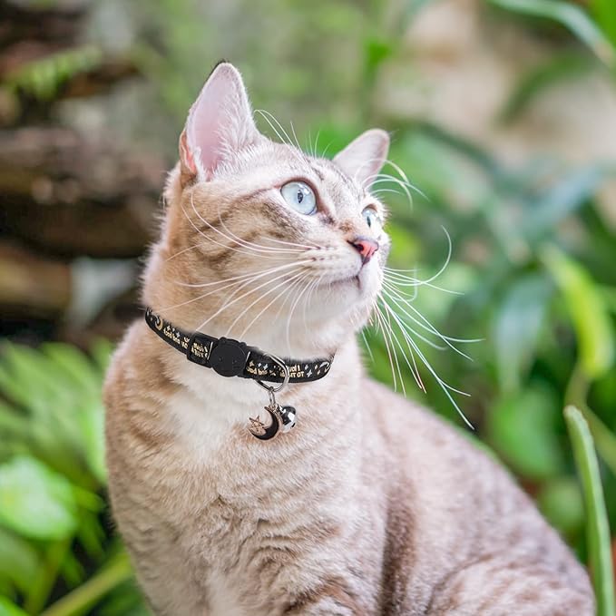 Cat Collar with Bells Breakaway, 3 Pack Moon and Star Cat Collar Reflective, Cute Kitten Collars with Pendant Glow in The Dark for Girl Boy Cats, 8"-12" Adjustable Safe Dog Puppy Kitty Collar