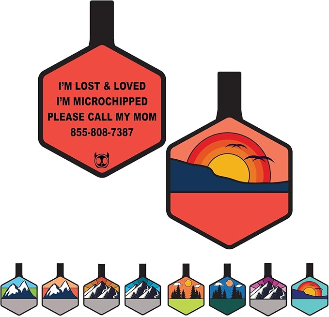 Silent Dog Tag Personalized with 5 Lines of Custom Deep Engraved Durable Soundless Silicone Pet ID Name Tag Hexagon Sunset Orange
