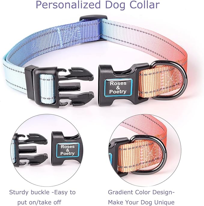 Roses&Poetry Reflective Dog Collar with Gradient Azure, Adjustable Durable Pet Collars for Small Medium Large Dogs (Azure-S)
