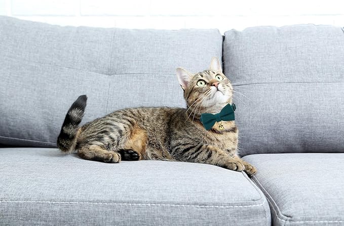 Soft Corduroy Cat Collar with Bell and Bowtie, Safety Breakaway Clasp, Adjustable for Kitten and Cats Green Color.