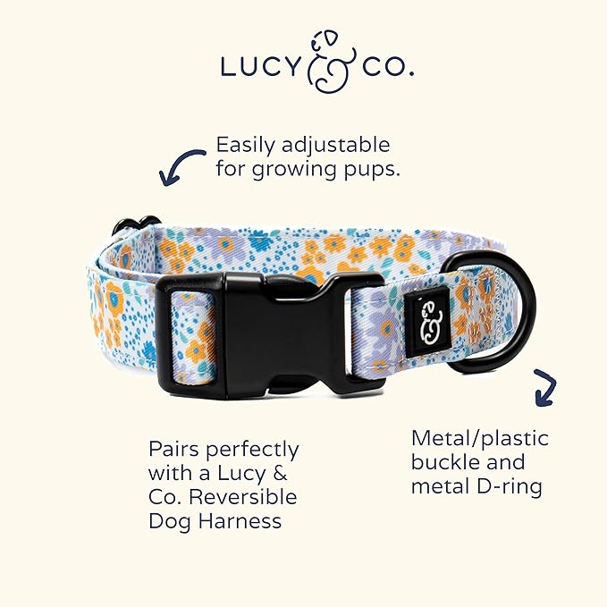 Lucy & Co. Among The Wildflowers Dog Collar - Durable Lightweight Designer Collar for Pets - Adjustable Metal Safety Buckle - Purple Floral - Large