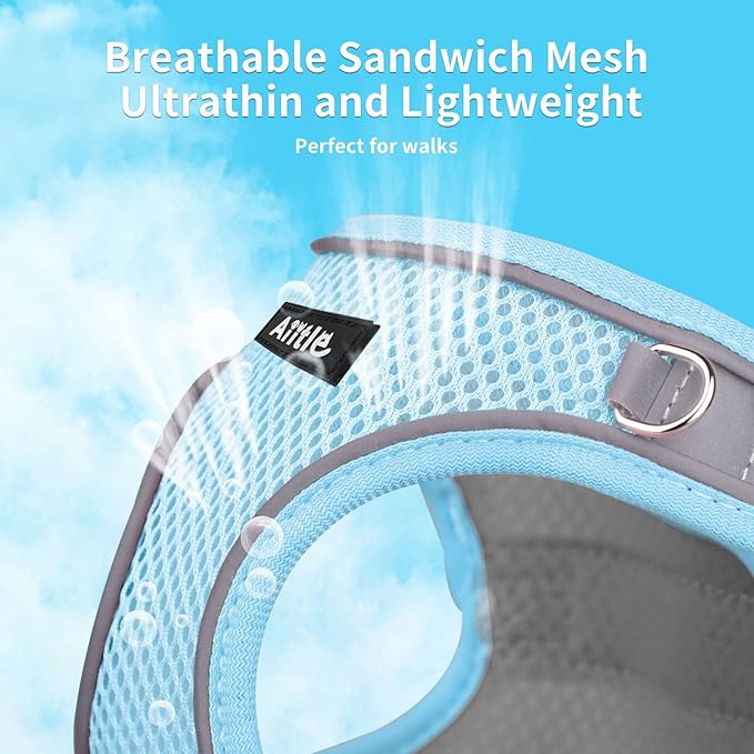 AIITLE Small Harness for Puppy with A Leash - Dog Vest Harness with Super Breathable Mesh, Reflective No-Pull Pet Harness for Outdoor Walking, Running for Small Dogs, Cats Blue XXS