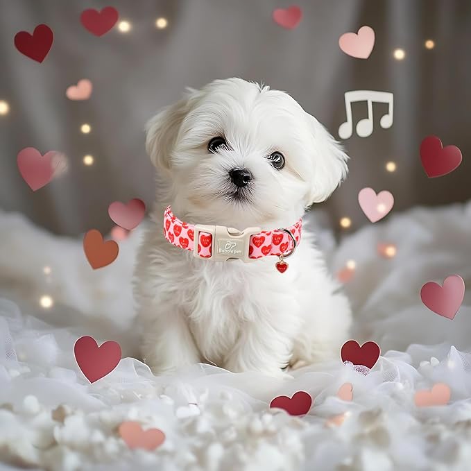 Valentines Dog Collar for Large Dogs - Valentine Red Conversation Hearts Dog Collars, Love Boy Girl Dogs Collars, Lightweight Adjustable Cute Puppy Collar with Quick-Release Buckle XL