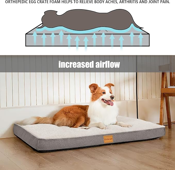 Patas Lague Orthopedic Jumbo Dog Bed for Large Sized Dog 56''X40'', Soft Waterproof Egg Crate Foam Large Pet Crate Beds Mat with Removable Washable Cover and Non-Slip Bottom, Ivory