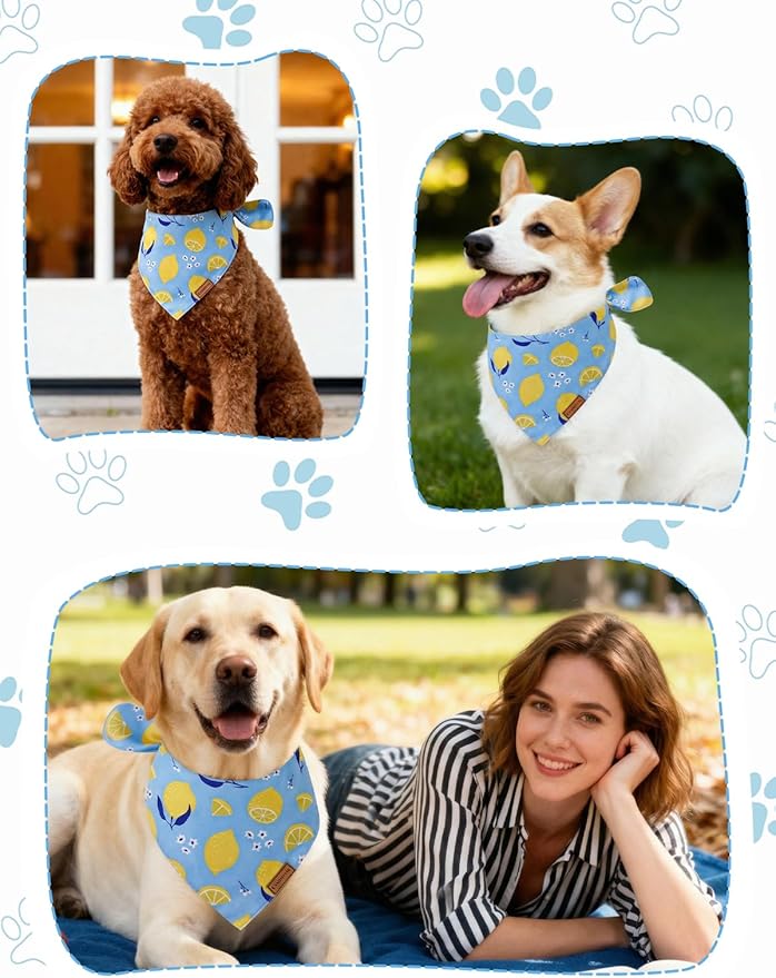 Luxury Double-Layer Dog Birthday Bandana – Handmade, Silk-Soft Polyester for All Dog Sizes | Birthday & Party Outfit | Gift-Ready Pet Accessory (Yellow, Large)