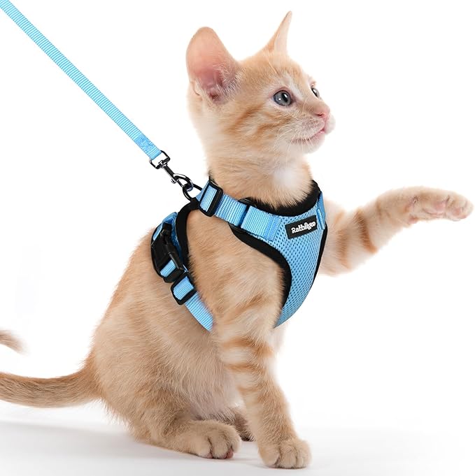 rabbitgoo Cat Harness and Leash for Walking, Escape Proof Soft Adjustable Vest Harnesses for Cats, Easy Control Breathable Reflective Strips Jacket, Light Blue, XXS