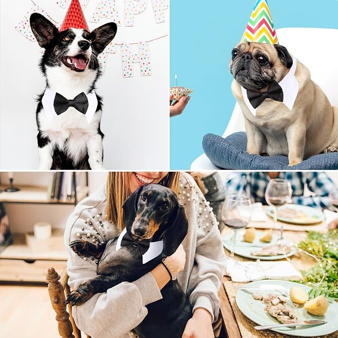 Segarty Black Bow Tie Dog Collar for Neck Girths 10.2-12.6 in, Tux Bowtie with Handcrafted Adjustable White Collar Formal Pet Cats Puppies Necktie for Wedding Birthday Party