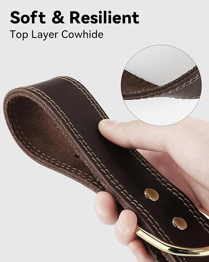 Joytale Leather Dog Collar for Medium Dogs, Genuine Thick Solid Leather, Heavy Duty Sturdy Pet Collar, Adjustable Metal Pin Buckle for Reliable Daily Training and Walking, Brown, M