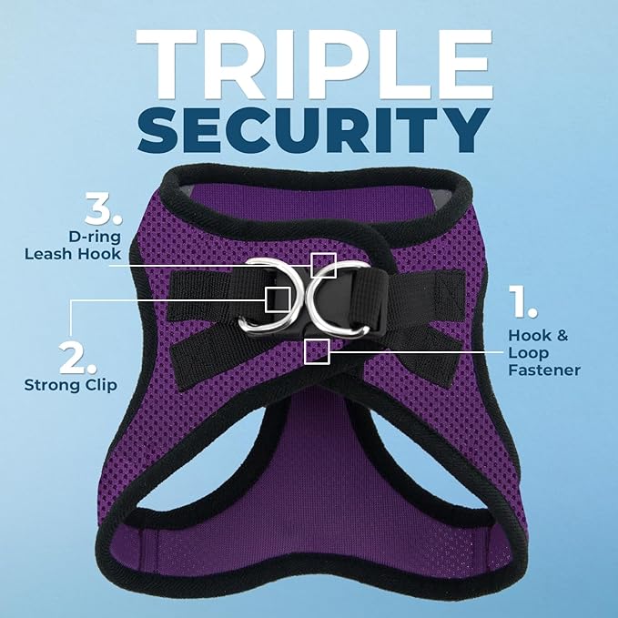 Best Pet Supplies Voyager Step-in Air Harness - All Weather Mesh, Reflective, No Pull Harness for Dogs, Cats - Secure with Hook & Loop Fastener, Buckle, Double D-Rings - Purple/Black Trim, S