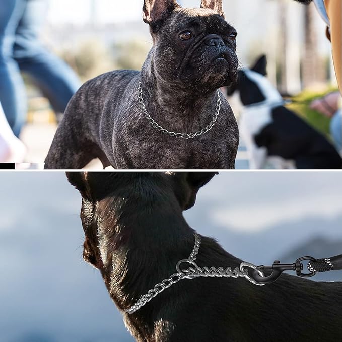 TagME Chain Choke Collar for Dogs, Adjustable Weather Proof Necklace for Medium Dogs, Alloy Steel Pet Training Collar