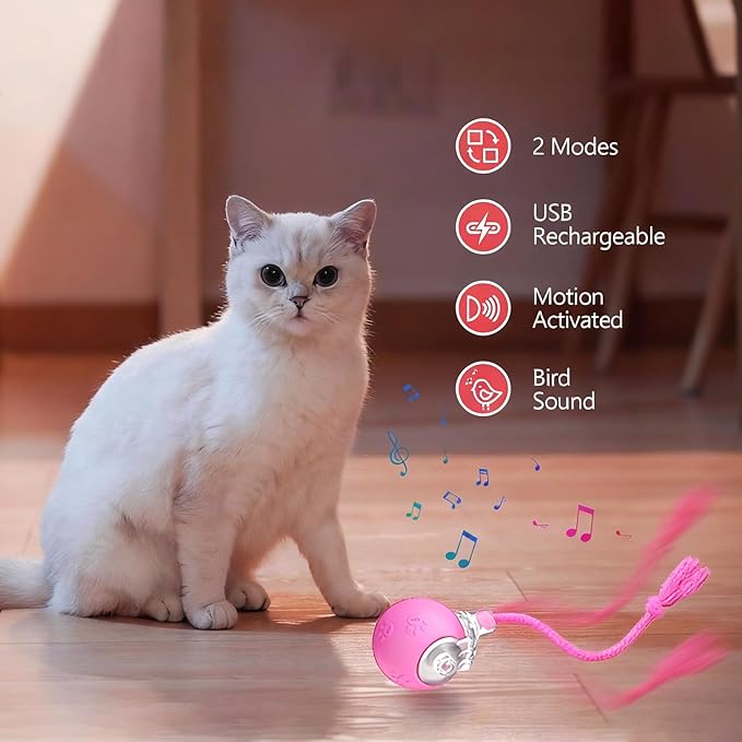 FUNNYDUCK Speed 2.0 Tail Interactive Cat Toy – Motion-Activated Rolling Ball with Chirping Sounds, USB Rechargeable Smart Ball Toy for Indoor Cats & Kittens, Enrichment & Exercise