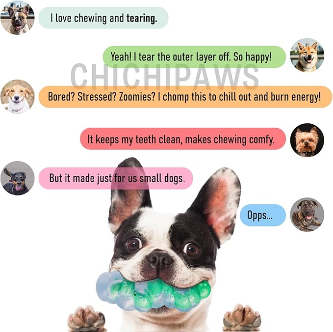 Small Breed Dog Chew Toys for Teething - Natural Rubber & Durable Nylon Toy for Puppies 0-12 Months, Interactive Gift for Small Dogs Under 30 lbs, Safe Teeth Cleaner & Anxiety Soother