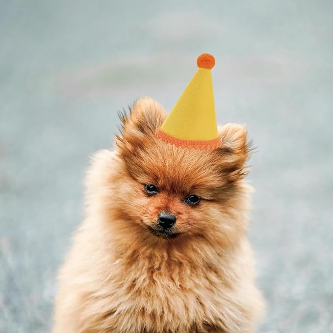 20 Pcs Dog Birthday Hat Set for Small Medium Dogs Cat Puppies, Mini Party Hat with Adjustable Headbands, Cute Pet Hat with Pompons for Birthday Christmas Party Decoration Accessories (Mini 2.5 Inch)
