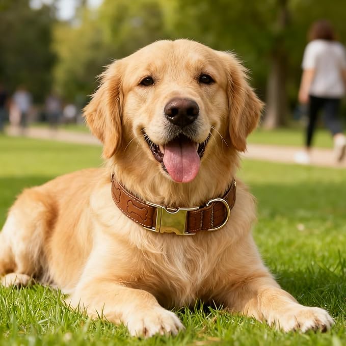 TDTOK Stylish Leather Dog Collar, Comfortable Soft PU Leather Dog Collars for Large Medium Small Dogs with Quick Release Metal Buckle, Adjustable Pet Collar with Cute Bone Pattern Design