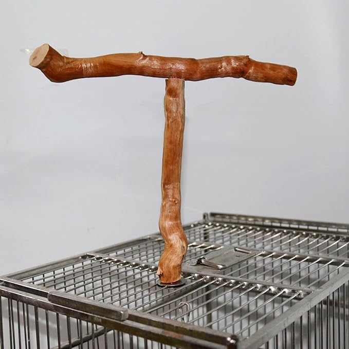 Asixxsix Wood Bird Perch, T Shaped Birdcage Stand Wooden Parrot Perch Stand Perch for Bird Cage Grinding Bird Perch Branches, T Perch Bird Accessory, Easy to Install