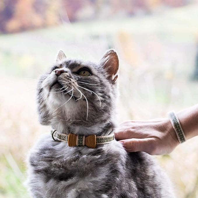 Pettsie Breakaway Cat Collar with Bow Tie and Matching Bracelet–Adjustable Cotton Kitten Collar with Safety Buckle for Cats and Small Pets–Cute Cat Gift for Owners and Cat Lovers, 8-11 Inches, Black