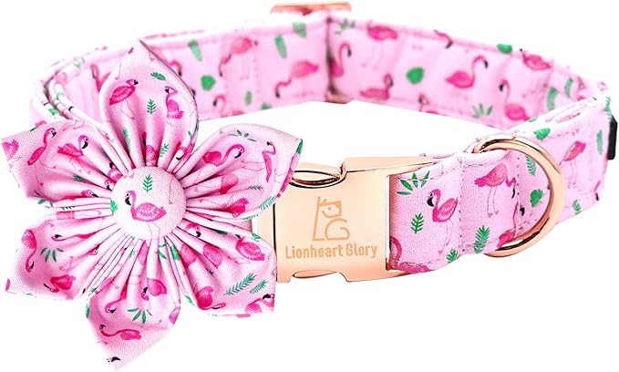 Lionheart Glory Valentine's Day Collar with Flower, Pink with Bowtie Spring Collar for X-Small Dogs