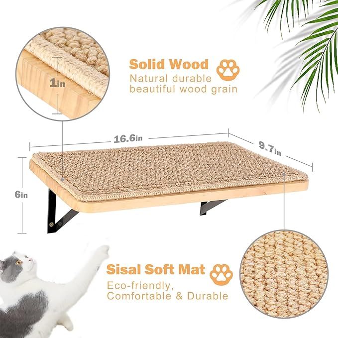 Wall Mounted 1 Pack Cat Shelf with 2 Pcs Two Steps Climber Stairs - Modern Cat Wall Furniture for Climbing, Lounging, and Playing - Perfect Hammock for Indoor Cats or Kitty