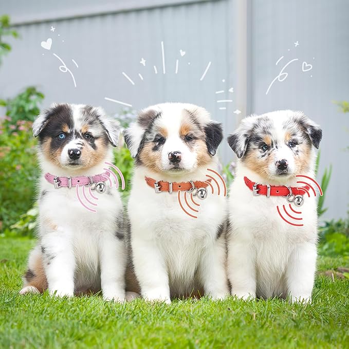 S Dog Collar for Small Dogs Adjustable Dog Collars Cat Collar for Small Medium Large Dogs 3/8 inch Width (Blue, S)