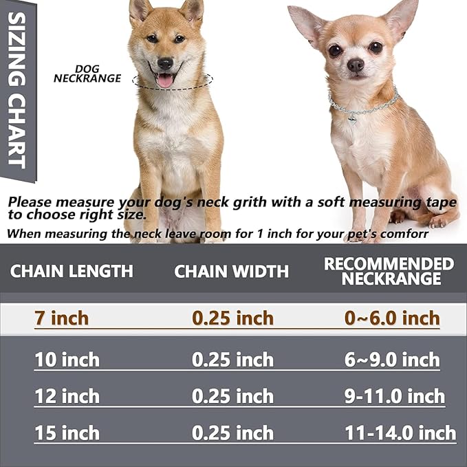 HOWWFALY Dog Collar and Dog Chain Necklace Stainless Steel Adjustable 18K Sliver Heart-Shaped Necklace for Small Pets Cats Kitten Puppy (Sliver, 12 inch)