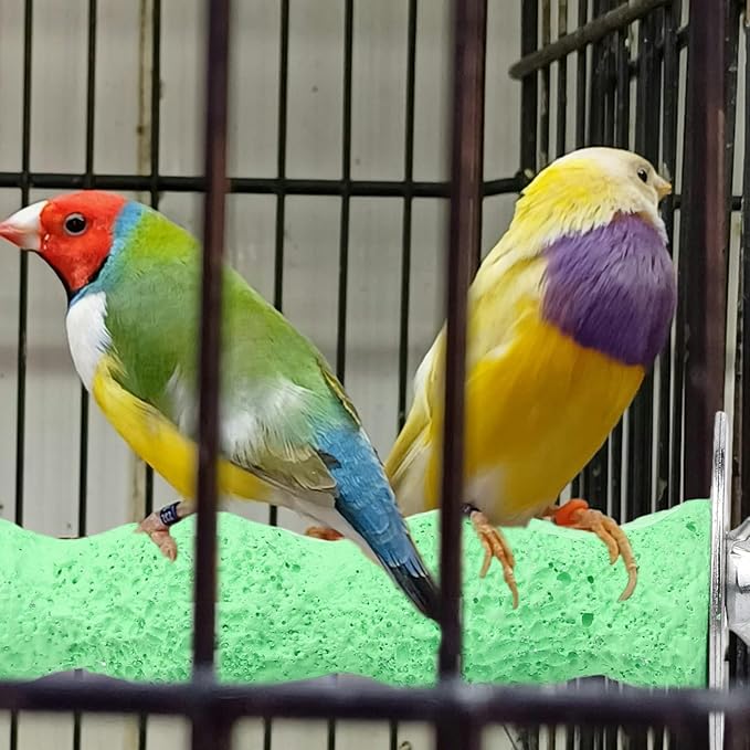 2pcs Anti-Slip Bird Beak Grinding Stones, Washable Resin Bird Beak Trimmer & Nail Filing Stand Platform Cage Accessories for Parrots Budgies Cockatiels Parakeets