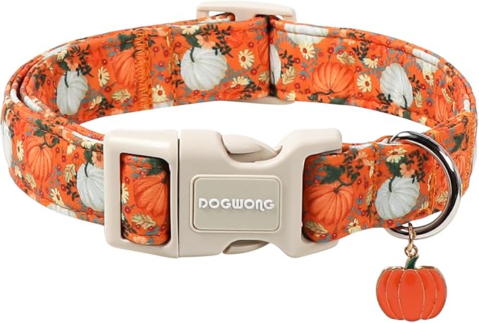 DOGWONG Fall Pumpkin Dog Collar- Cute Daisy Pumpkin Dog Collars Adjustable Orange Halloween Thanksgiving Dog Collar for Small Medium Large Dogs XS