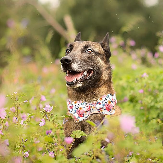 Lionheart glory Dog Collar Bow Collar Floral Dog Collar with Bow Tie Spring Summer Cute Collar Dog Boy or Girl Dog Collars Soft Durable Adjustable Dog Collars for Medium Dogs